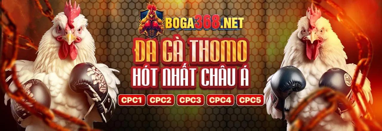 Các loại kèo phụ như phạt góc, thẻ phạt, tỷ số chính xác